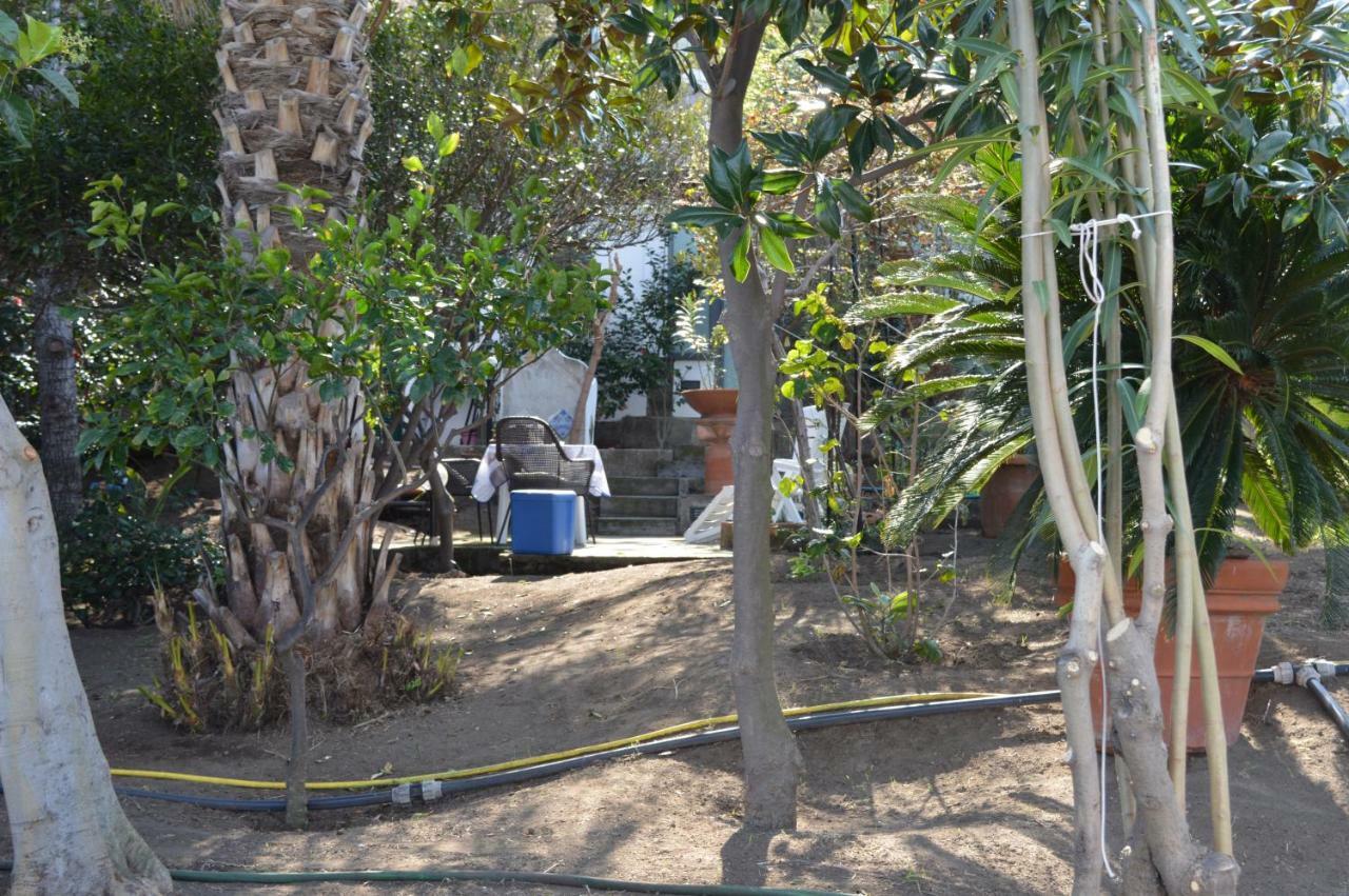 B&B Il Giardino Segreto Stromboli Exterior photo