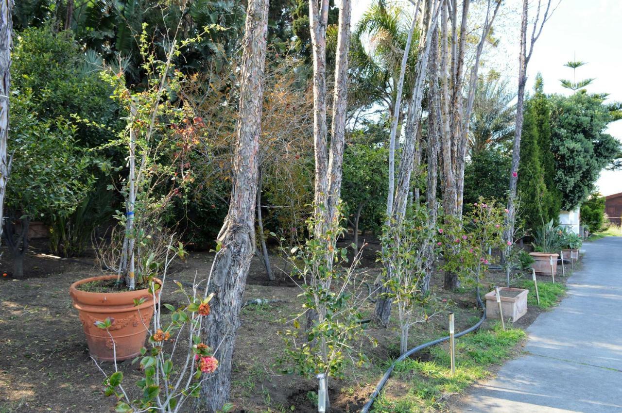 B&B Il Giardino Segreto Stromboli Exterior photo