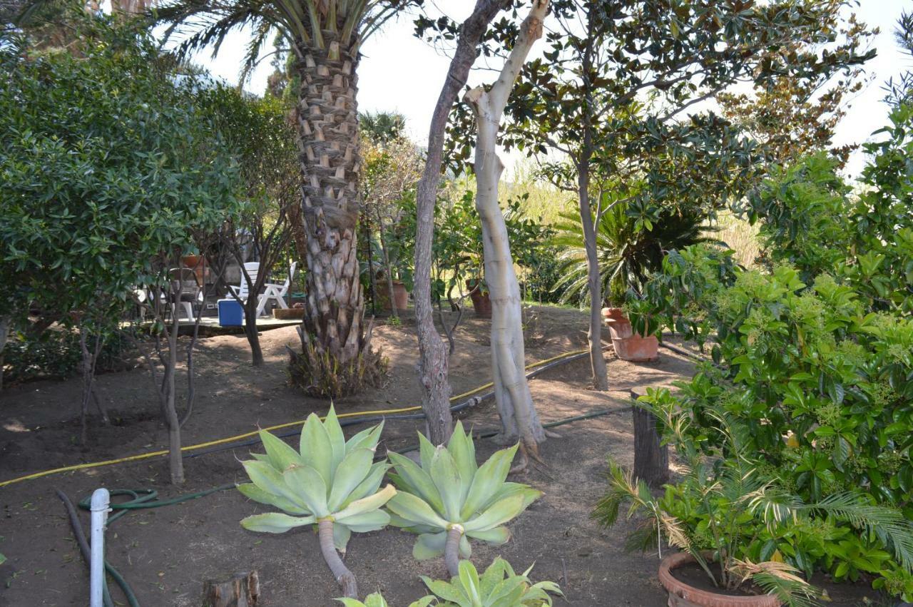 B&B Il Giardino Segreto Stromboli Exterior photo